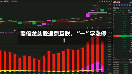 翻倍龙头股通鼎互联，“一”字涨停！-第3张图片