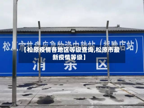【松原疫情各地区等级查询,松原市最新疫情等级】-第3张图片