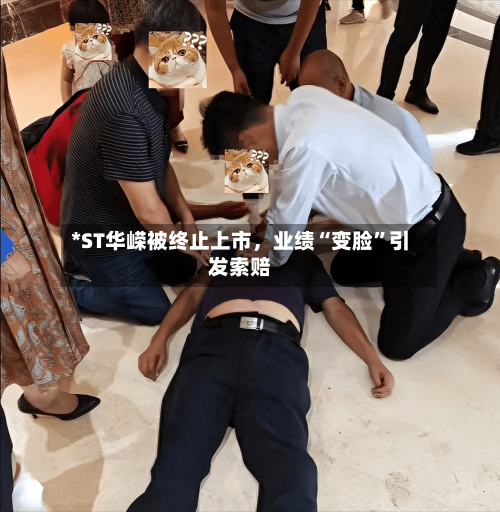 *ST华嵘被终止上市	，业绩“变脸	”引发索赔-第3张图片