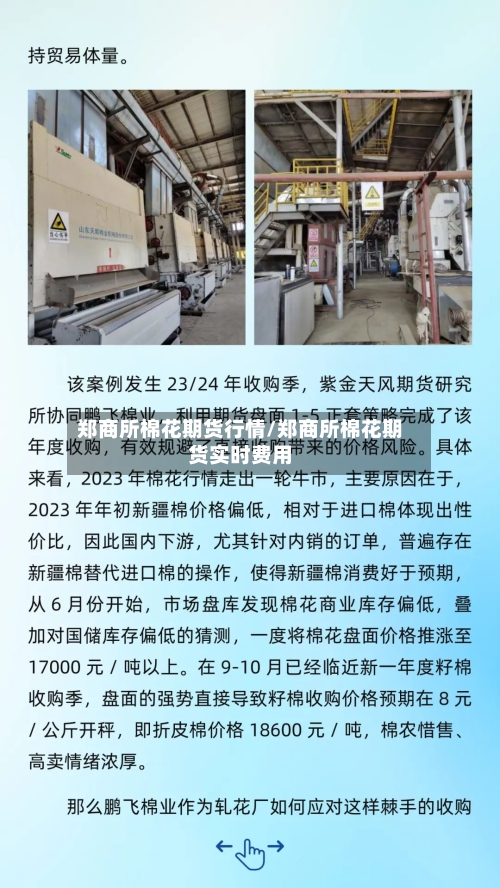 郑商所棉花期货行情/郑商所棉花期货实时费用-第1张图片