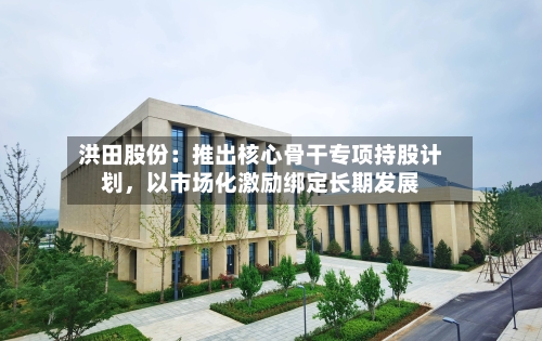 洪田股份：推出核心骨干专项持股计划，以市场化激励绑定长期发展-第1张图片