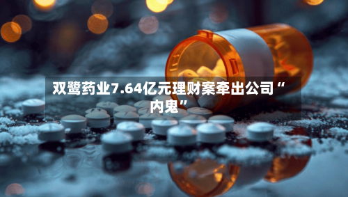 双鹭药业7.64亿元理财案牵出公司“内鬼”-第2张图片