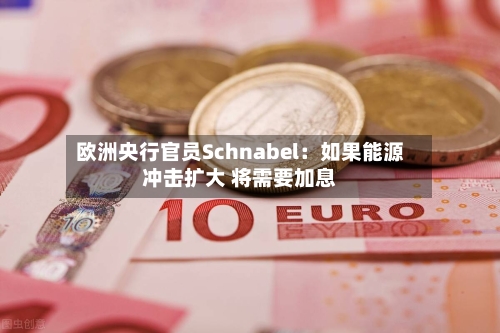 欧洲央行官员Schnabel：如果能源冲击扩大 将需要加息-第1张图片