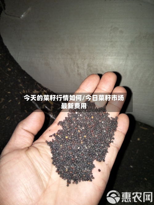 今天的菜籽行情如何/今日菜籽市场最新费用-第1张图片