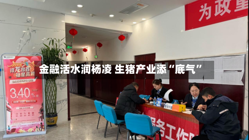 金融活水润杨凌 生猪产业添“底气	”-第1张图片