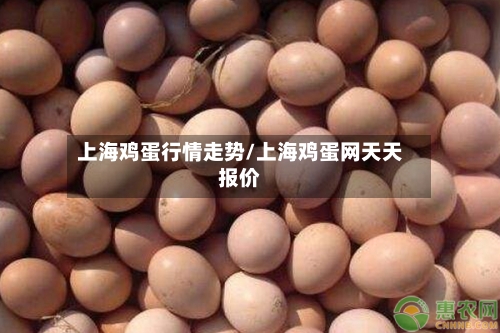 上海鸡蛋行情走势/上海鸡蛋网天天报价-第3张图片