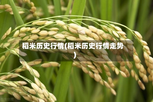 稻米历史行情(稻米历史行情走势)-第2张图片