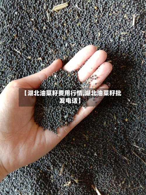 【湖北油菜籽费用行情,湖北油菜籽批发电话】-第1张图片