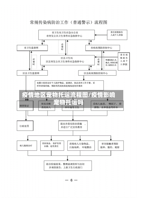 疫情地区宠物托运流程图/疫情影响宠物托运吗-第2张图片