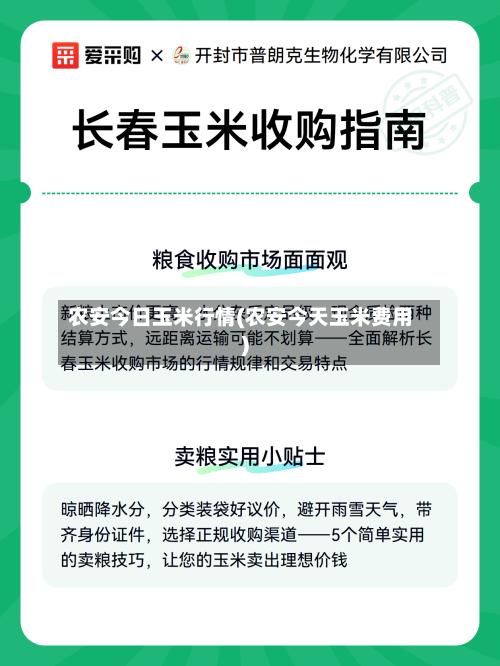 农安今日玉米行情(农安今天玉米费用)-第1张图片