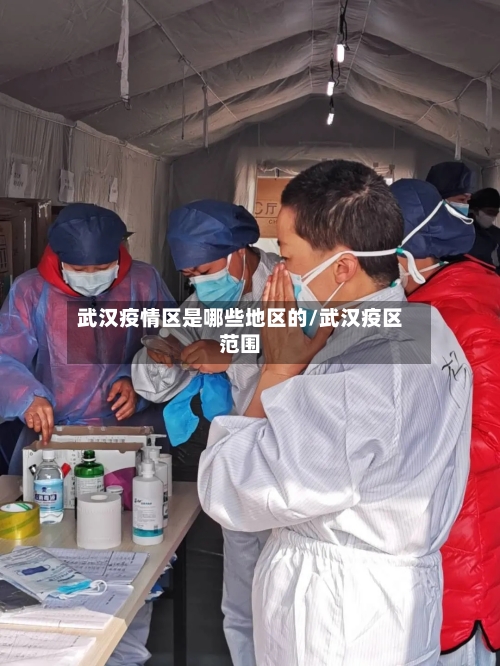 武汉疫情区是哪些地区的/武汉疫区范围-第2张图片