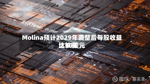 Molina预计2029年调整后每股收益比较高达30美元-第2张图片