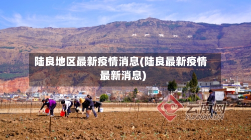 陆良地区最新疫情消息(陆良最新疫情最新消息)-第2张图片