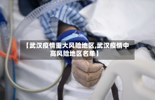 【武汉疫情重大风险地区,武汉疫情中高风险地区名单】-第1张图片