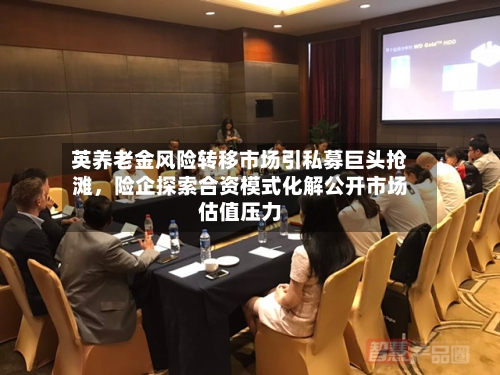 英养老金风险转移市场引私募巨头抢滩，险企探索合资模式化解公开市场估值压力-第1张图片