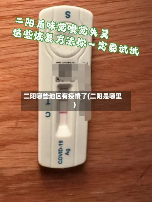 二阳哪些地区有疫情了(二阳是哪里)-第1张图片