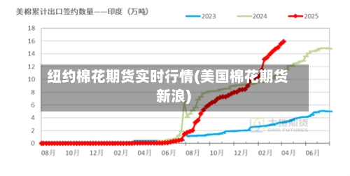 纽约棉花期货实时行情(美国棉花期货 新浪)-第1张图片