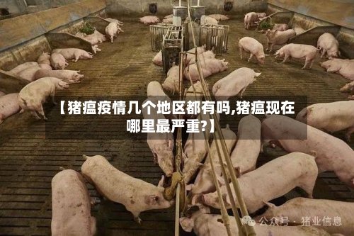 【猪瘟疫情几个地区都有吗,猪瘟现在哪里最严重?】-第2张图片