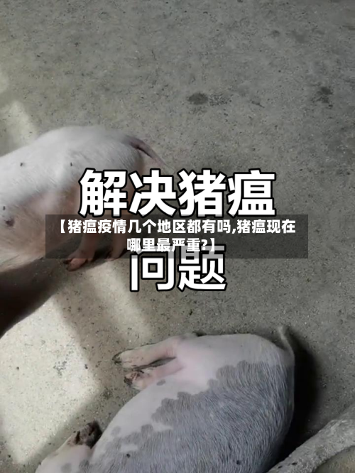 【猪瘟疫情几个地区都有吗,猪瘟现在哪里最严重?】-第1张图片