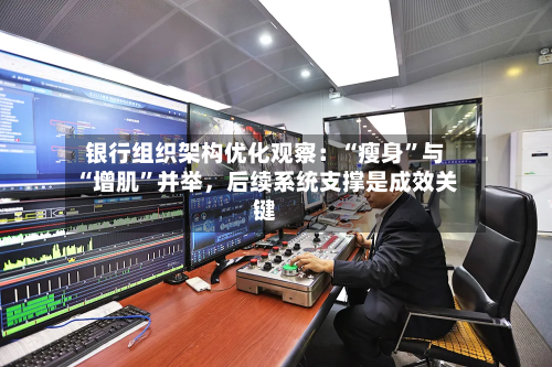 银行组织架构优化观察：“瘦身”与“增肌”并举，后续系统支撑是成效关键-第2张图片