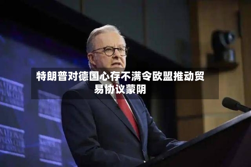 特朗普对德国心存不满令欧盟推动贸易协议蒙阴-第1张图片
