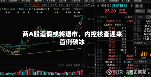 两A股造假或将退市，内控核查迎来首例破冰-第3张图片