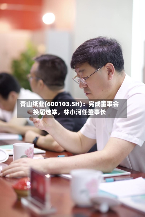 青山纸业(600103.SH)：完成董事会换届选举	，林小河任董事长-第1张图片