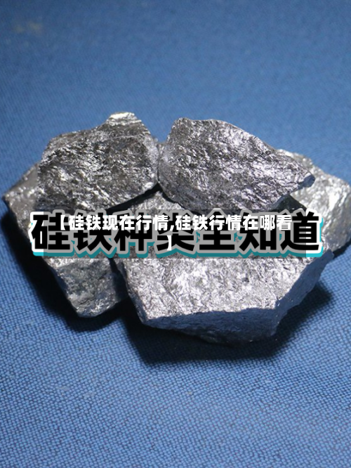 【硅铁现在行情,硅铁行情在哪看】-第2张图片