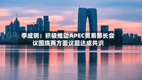 李成钢：积极推动APEC贸易部长会议围绕两方面议题达成共识-第1张图片