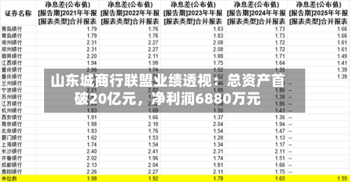 山东城商行联盟业绩透视：总资产首破20亿元，净利润6880万元-第1张图片