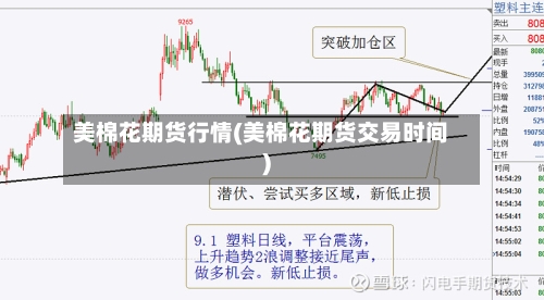 美棉花期货行情(美棉花期货交易时间)-第2张图片