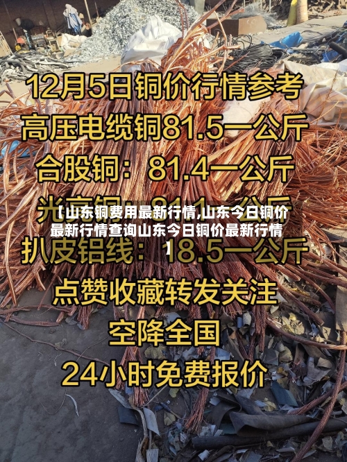 【山东铜费用最新行情,山东今日铜价最新行情查询山东今日铜价最新行情】-第1张图片