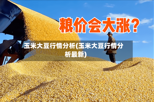 玉米大豆行情分析(玉米大豆行情分析最新)-第1张图片