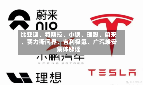 比亚迪	、特斯拉、小鹏、理想	、蔚来、赛力斯问界、吉利极氪	、广汽埃安集体辟谣-第2张图片