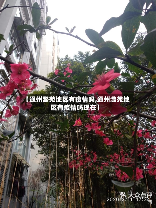 【通州潞苑地区有疫情吗,通州潞苑地区有疫情吗现在】-第2张图片