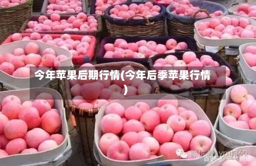 今年苹果后期行情(今年后季苹果行情)-第2张图片