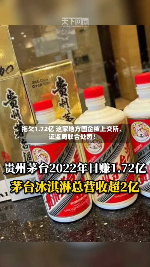 拖欠1.72亿 这家地方国企被上交所、证监局联合处罚！-第1张图片
