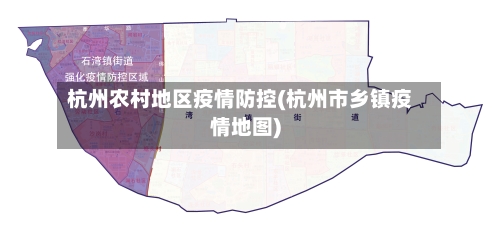 杭州农村地区疫情防控(杭州市乡镇疫情地图)-第2张图片