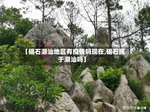【碣石潮汕地区有疫情吗现在,碣石属于潮汕吗】-第1张图片
