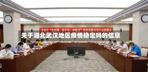 关于湖北武汉地区疫情稳定吗的信息-第3张图片