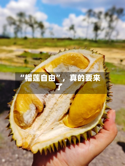 “榴莲自由	”，真的要来了-第3张图片