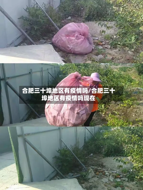 合肥三十埠地区有疫情吗/合肥三十埠地区有疫情吗现在-第2张图片