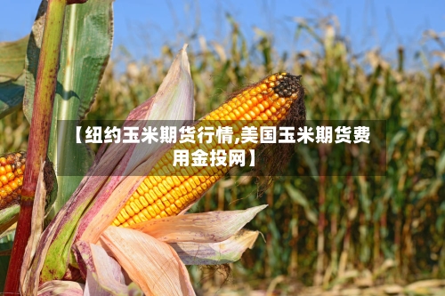 【纽约玉米期货行情,美国玉米期货费用金投网】-第1张图片